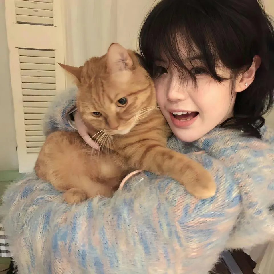 美丽破坏者第二季